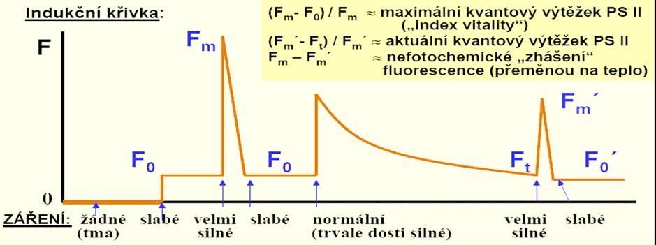 Ke stanovení celkové funkčnosti fotochemického aparátu rostlin i k analýze dílčích procesů zapojených do konverze energie záření do chemické formy energie jsou v současné době daleko v nejširší míře