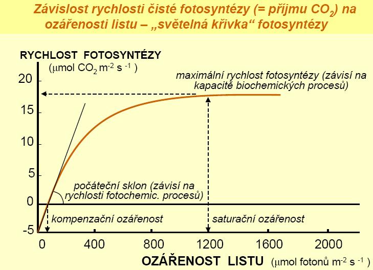 platí, že listy s nízkou hodnotou saturační ozářenosti mají i nízkou rychlost fotosyntézy při nasycení zářením.