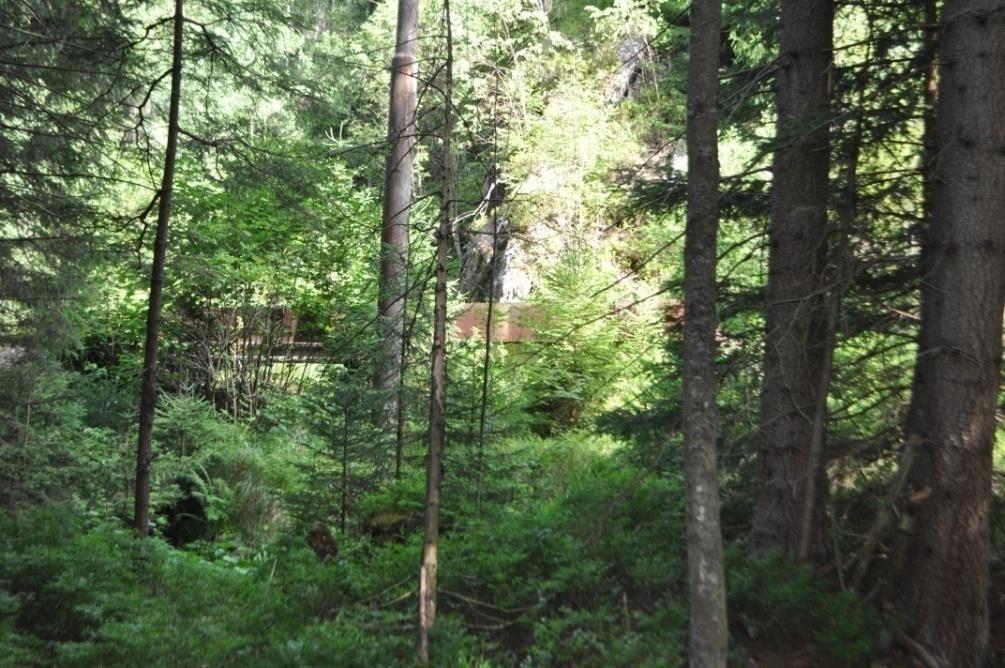 V roce 1930 byl dokončen horní úhlavský přivaděč dlouhý 3,6 km. Voda z Úhlavy byla odebírána od Karlova mlýna (Karlmühle) na Brčálníku (Frischwinklu).