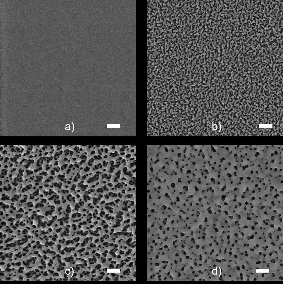 the 10 min of plasma treatment we can clearly see a formation of pillar structures on the surface of samples modified in atmospheres containing hydrogen atoms.