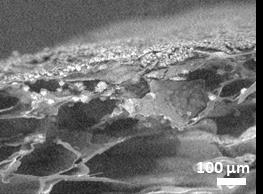 log G' (Pa) log G'' (Pa) Fig 2. SEM microphotograph of a cross section mineralized hydrogel scaffold: PVP-CMC-βchitin-CaCO 3. 10 5 PVP-CMC PVP-CMC - CaCO.
