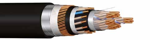 A 2Y(L)2Y2YV Signální kabely, stíněné A 2Y(L)2Y2YB2Y Signální kabel, stíněný, s ochranou hlodavcům AJ 2Y(L)2Y2YDB2Y Signální kabel, stíněný, s ochranou proti indukci 2 Izolace (PE), žíly stočeny do