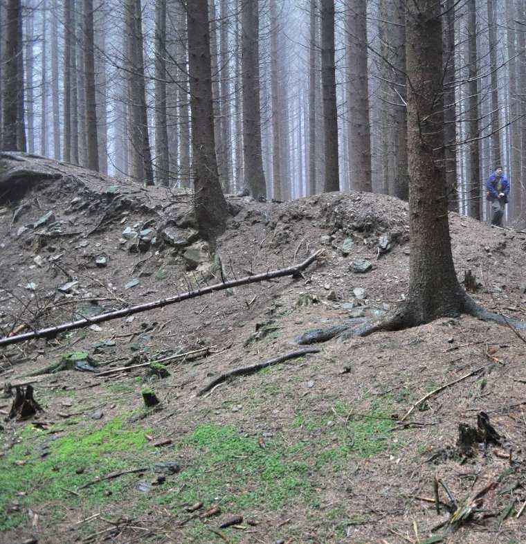 ZALESNĚNÉ PROSTŘEDÍ: NEJVĚTŠÍ ARCHIV ANTROPOGENNÍCH RELIKTŮ