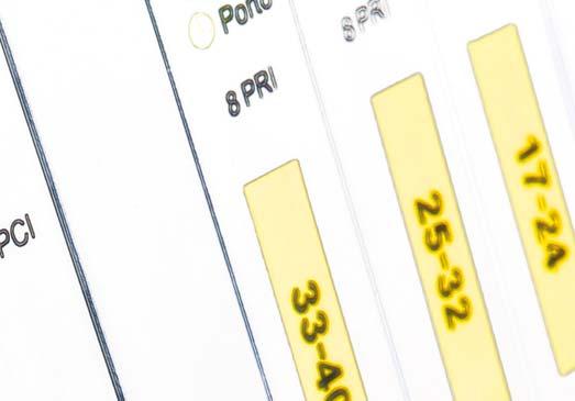 % Ostatní 3 28 3 % 6 373 2 % CELKEM tržby ze služeb a prodeje zboží 43 483 % 85 692 % Dial Telecom se stává preferovaným