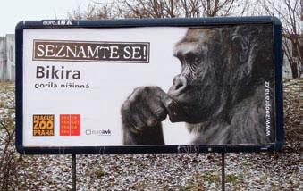 Soňa Sitterová Mather Communications Account Director Motiv karibského piráta s doutníkem je opravdu věrohodný. Kdo zažil na vlastní kůži, tak se rád u bigboardu pousměje.