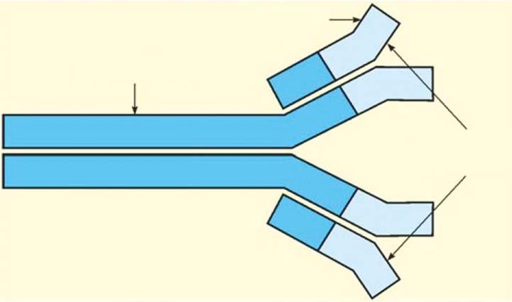 infliximab Obr. 1.