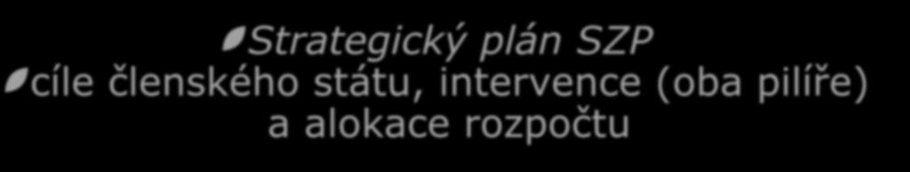 Reporting výkonnosti Strategický plán SZP