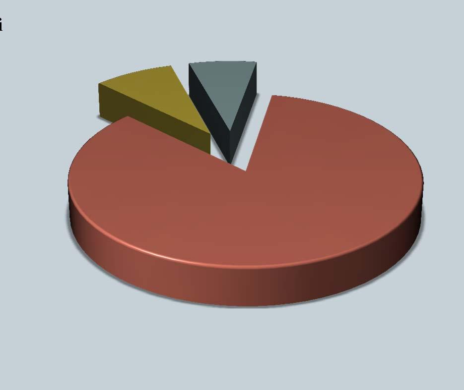 2010 Energetika a Průmysl 49% Domácnosti 14% CH 4 8%