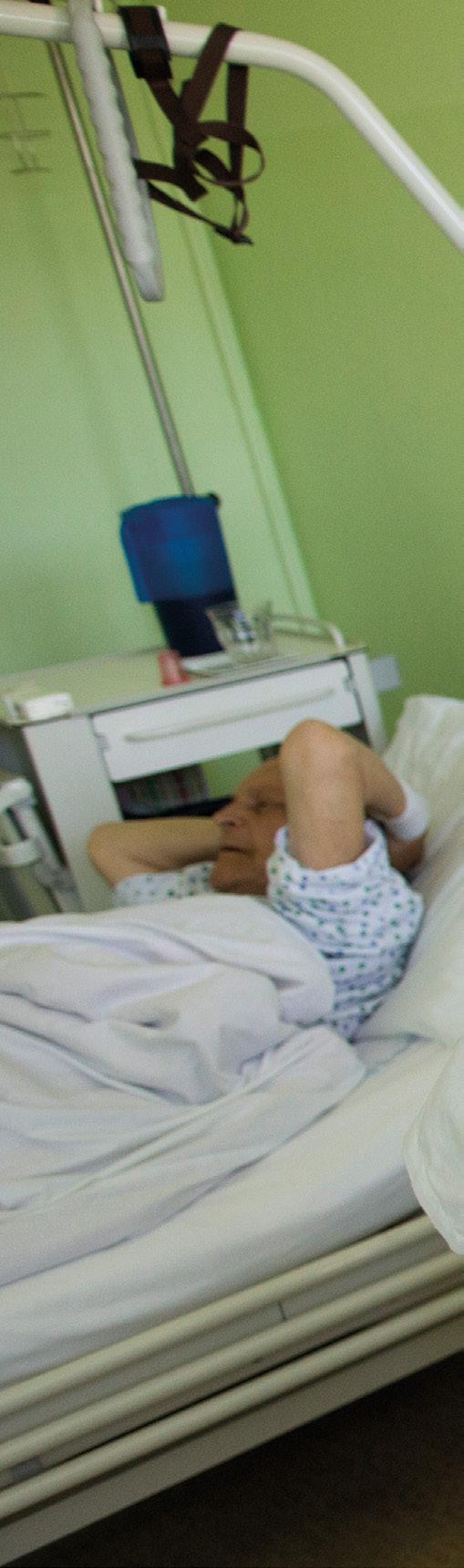 V Německu pracují paliativní týmy ve více než 250 nemocnicích 7, v Rakousku funguje v nemocnicích 49 konziliárních týmů a 36 lůžkových stanic 8.