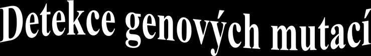 Možnosti