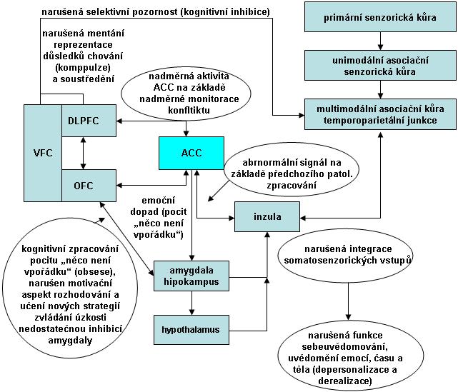Obr. 6. Neurobiologický model vztahu disociace a OCD.