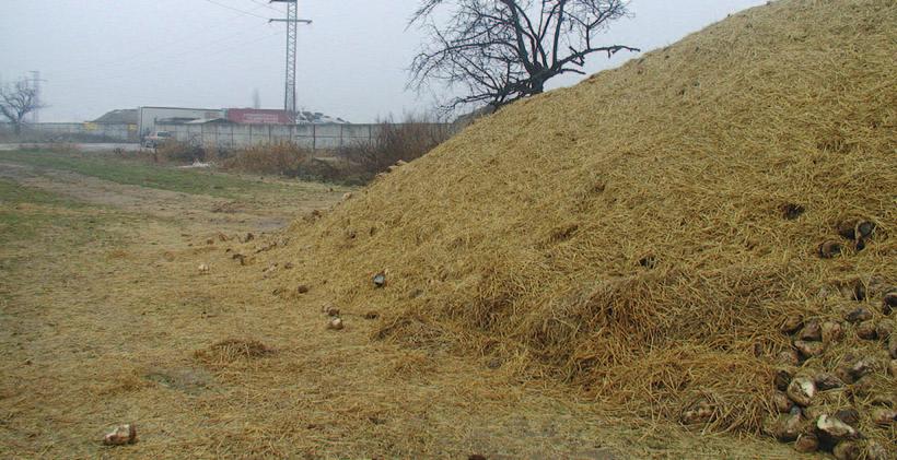 jún 2012 Zásady zakrývania a odkrývania skládok: Repná skládka musí byť zakrytá čo možno najrýchlejšie po jej sformovaní a pred tým ako sa očakáva dážď alebo mráz Pre zakrývanie volíme prednostne