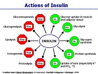 tkáně ( inzulin) a z přebytku glukózy ( inzulin) tudíž větší konverze VLDL na LDL 34 nízký HDL Diabetická dyslipidemie Klasifikace (?) vs. skutečnost (!