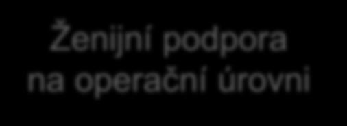 prostředků. Tento druh podpory se podle některých dokumentů také nazývá bojová ženijní podpora.