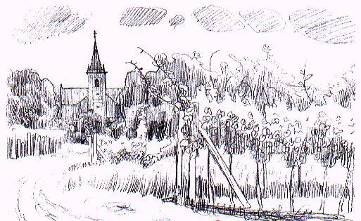 ZO - ŠTEFANOV - VINICE KATALÓG XV.