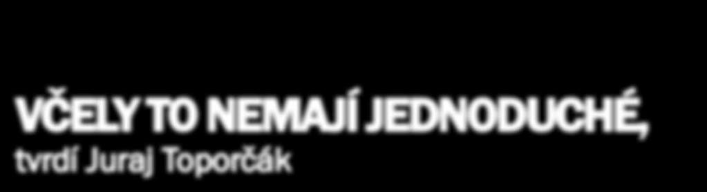 rok začíná Rudolf