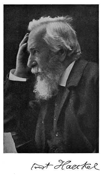 Ernst Haeckel (1834-1919) Zavedl mimo jiné