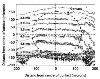 SHRNUTÍ SOUČASNÉHO STAVU POZNÁNÍ bylo aplikováno do kontaktu. K excitaci byl využit diodový, vláknový laser o vlnové délce 532 nm. Optická soustava neobsahovala excitační ani emisní filtr.