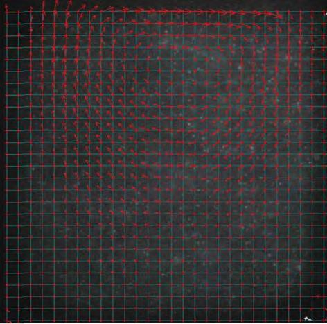 9: a) Fluorescšneční částice zachycené CCD kamerou b) Segmentace obrazu při vyhodnocení [41] Publikace prezentují alternativní, experimentální metodu k FRAP částicovou velocimetrii (PIV).