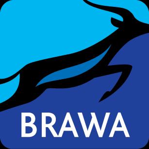 Výroční zpráva společnosti BRAWA, a.