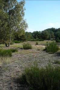 Bzenecká