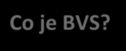 Co je BVS? Business Visibility Suite Nástroj pro přehlednou vizualizaci síťových komunikací a modelování souvislostí business služeb s IT infrastrukturou Jaké problémy řeší?