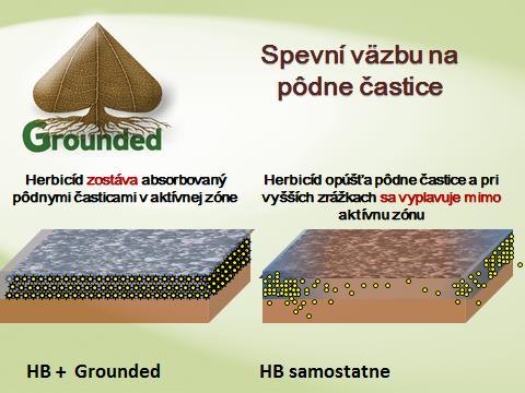 voška broskyňová a rešetliaková, strapky Naše odporúčanie: V paprike aplikujte v pri zistení prvých neokrídlených vošiek na rastline.