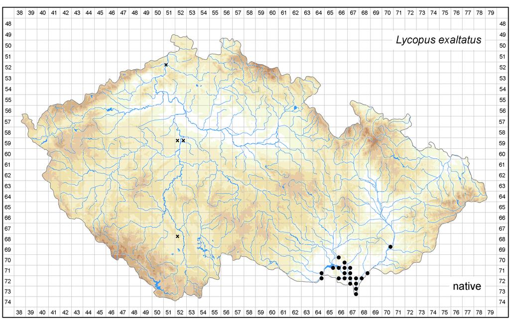 Distribution of Lycopus exaltatus in the Czech Republic Author of the map: Kateřina Šumberová Map produced on: 06-02-2018 Database records used for producing the distribution map of Lycopus exaltatus