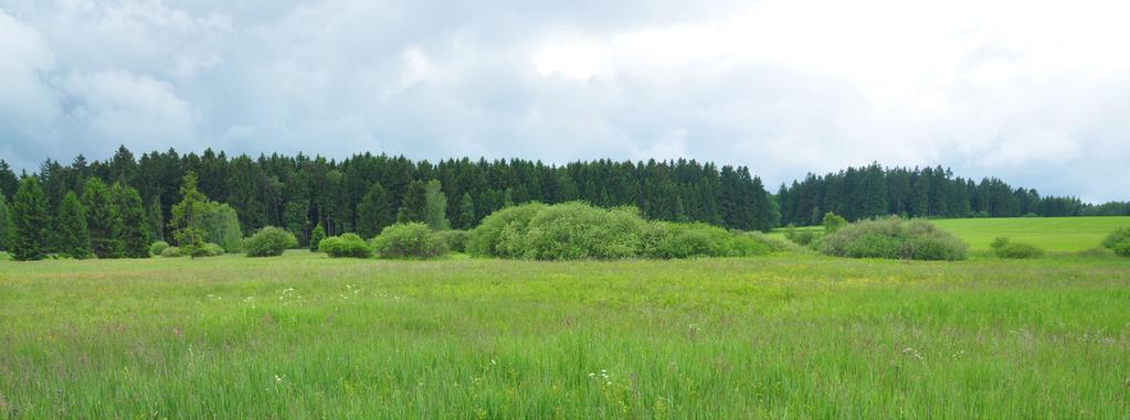 Mokřady a rašeliniště Vzhledem k poloze na hlavním rozvodí a členitému reliéfu byl Kraj Vysočina vždy oblastí bohatou na rozmanité typy mokřadů.