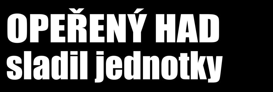 na dlouhé vzdálenosti. Tyto a další taktické činnosti prověřily tisíc pět set vojáků brigádního úkolového uskupení na bázi 4.
