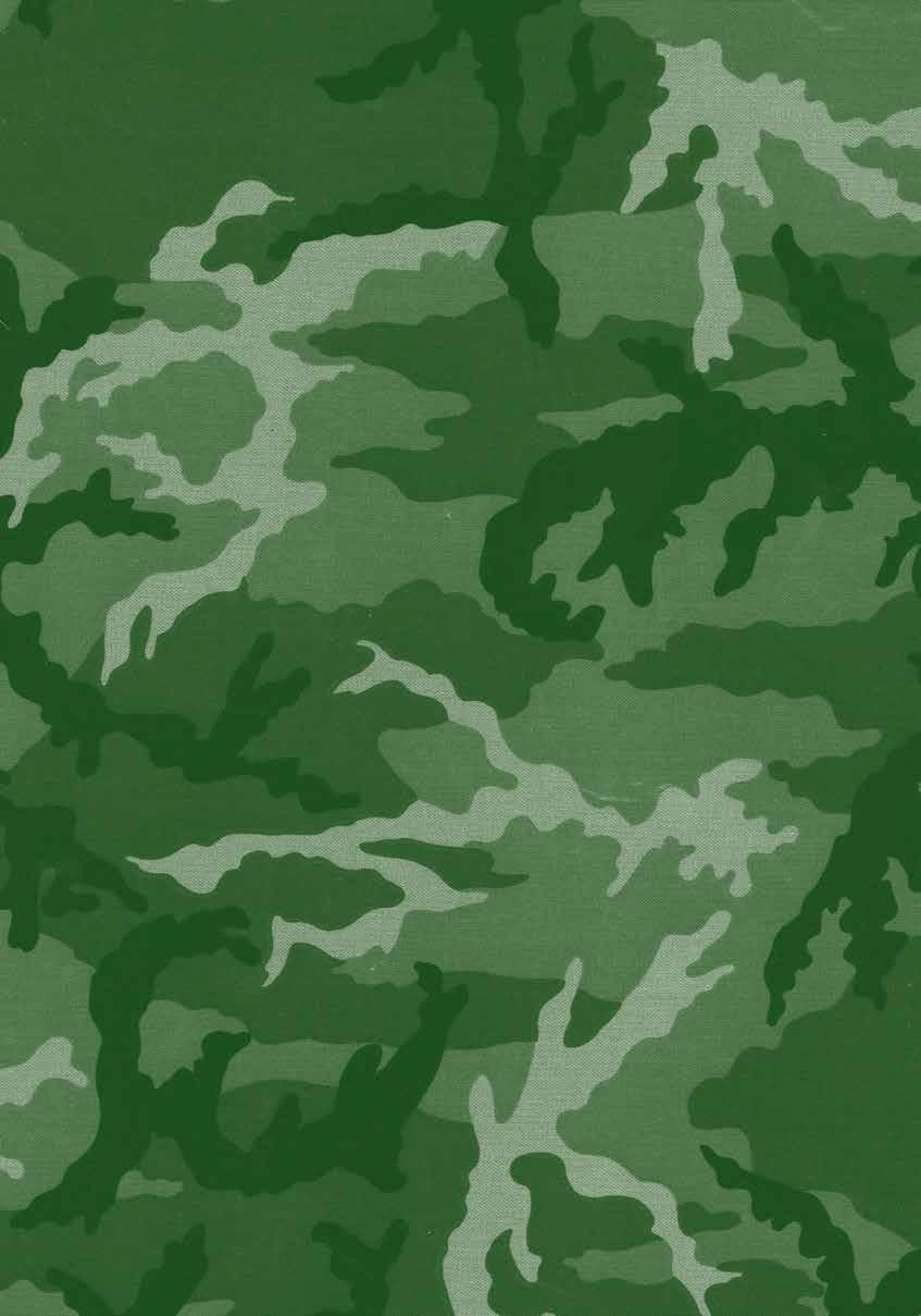 manuál profesionálního vojáka Rukávové znaky Na představení hodnostních systémů armád NATO bychom rádi navázali dalším seriálem.