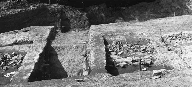 Sonde durch den Graben, rechts und links Abschnitte mit der Steinverschüttung, hinten Grubenhaus 53 (von S). Foto 44.