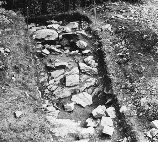 Östliche Vorburg, enge Terrasse unter der Südostecke der Akropolis mit Resten des Walls 145 (von N). Foto 52.