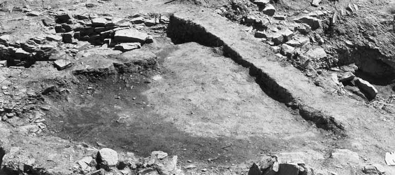 Souběžnou existenci povrchových domů a polozemnic v rámci jednoho obytného areálu, jak se s ní setkáváme na akropoli, prokázal už ve 30. letech min.