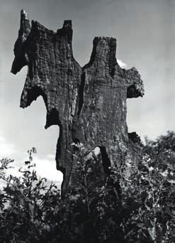 nedatováno, vintage gelatin silver print, 23 17 cm, vzadu opatřeno razítkem