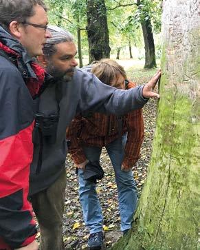 Příprava ZP a PP Krasec dubový (Eurythyrea quercus) Rozšíření v ČR: Břeclavsko, Třeboňsko, okolí Náměšti nad