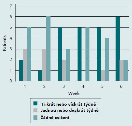 obsah se přizpůsoboval pacientovu aktuálnímu stavu, na Borgově škále jej měl pacient označit za mírně namáhavý, nebo namáhavý.