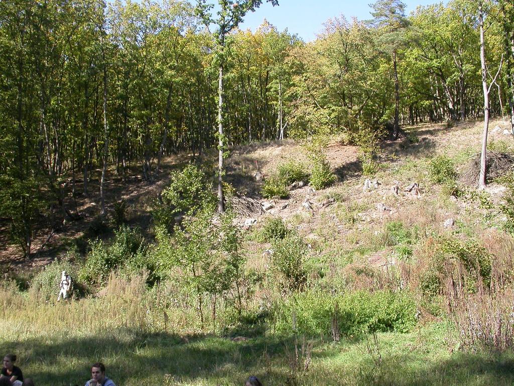 Střední les (sdružený les, pařezina s výstavky) strukturně bohatý les s několika věkovými generacemi