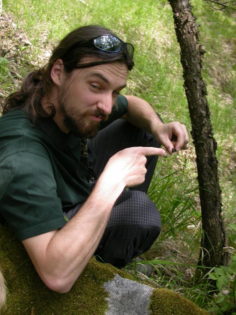 Mykoflóra klouzek žlutavý (Suillus flavidus)