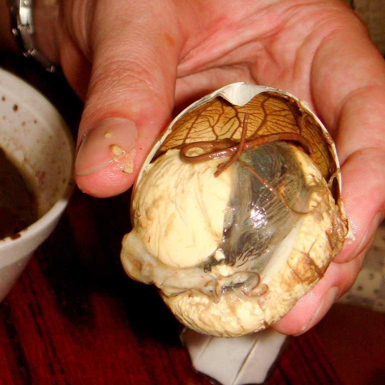 Obr. 9 Balut