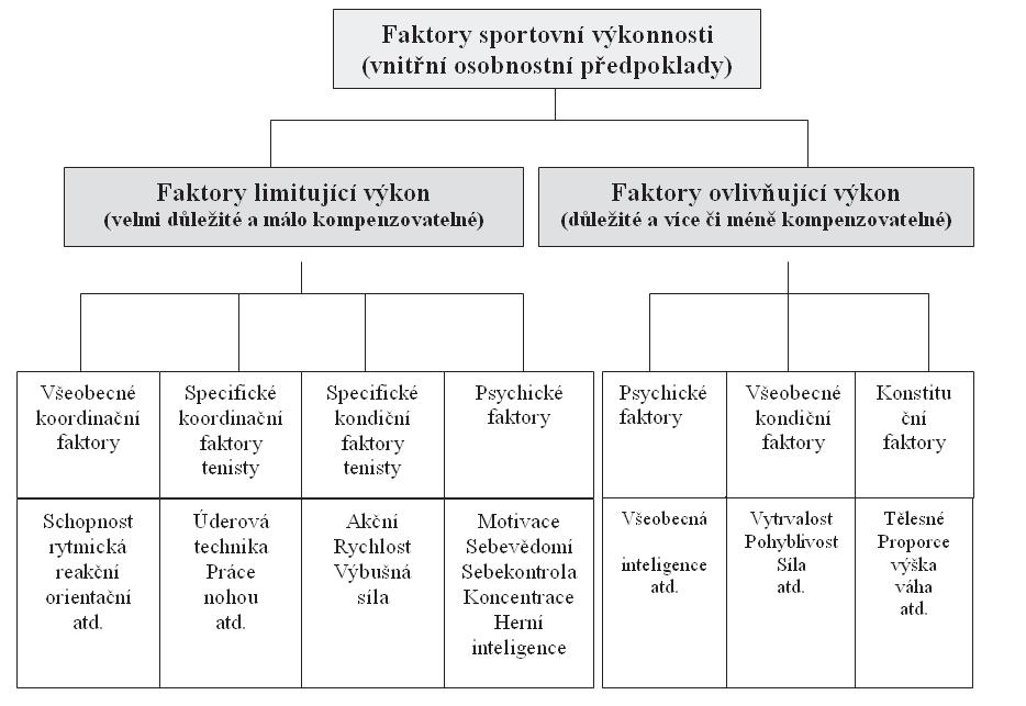 Miroslav Černošek, Jiří Zháněl, Vladimír Psalman, Martin Zvonař a úlohou diagnostických činností je především získání informací na rozličných komplexních úrovních (Wohlmann, 1996, 15).