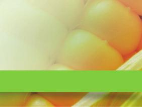 V AGROPRODUCT Světlá nad Sázavou (450 m n. m.) SUBITO dosáhlo výnosu 48 t/ha při 38% sušině. Průměr podniku byl 41 t/ha.
