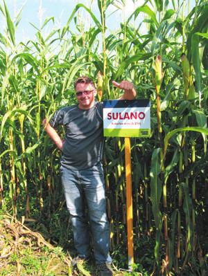 vhodný/dobrý Hybrid SULANO je špičkovým velmi raným hybridem určený pro bioplynové stanice.