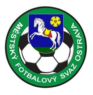 Vzhledem ke skutečnosti, že sportovní příprava by měla zahrnovat celoroční soustavnou činnost, jevilo se jako smysluplné realizovat tento projekt v období ledna až března formou pohárových turnajů na