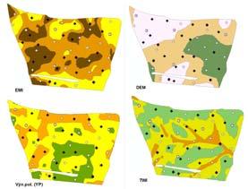 vodivost půdy = digitální elevační model YP = produkční zóny z TWI = topografický vlhkostní index OPT subjektivní