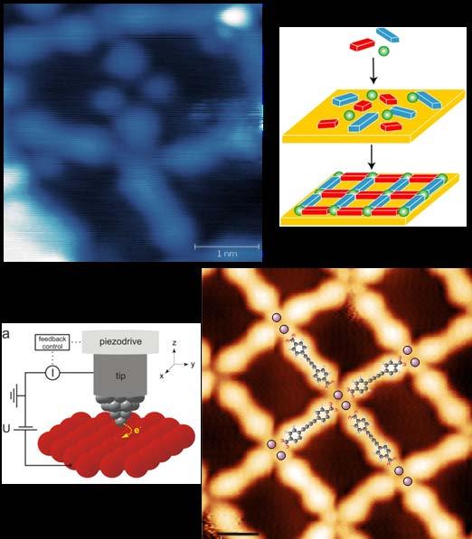 FUNKČNÍ VLASTNOSTI 2D SAMOUSPOŘÁDANÝCH SUPRAMOLEKULÁRNÍCH NANOSTRUKTUR Pochopení interakce molekul plynu a povrchových samouspořádaných struktur Příprava povchových nanostuktur na površích a jejich