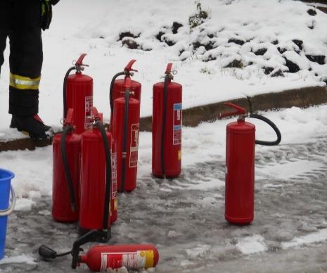 Následně byli žáci seznámeni s učivem o nebuněčných a jednobuněčných organismech.
