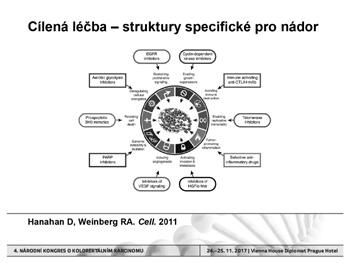 NÁRODNÍ KONGRES O