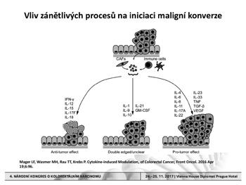 KOLOREKTÁLNÍM