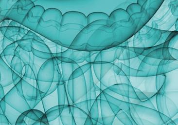 cholangiopankreatografie (ERCP); abdominální sonografie (SONO) speciální diagnostická vyšetření: kapslová endoskopie tenkého i tlustého střeva a